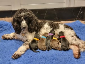 Tati and her herbs 2026